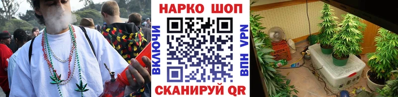 Где продают наркотики Белая Холуница A PVP  МЕФ  ГАШ 