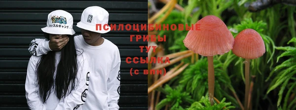 а пвп мука Семёнов