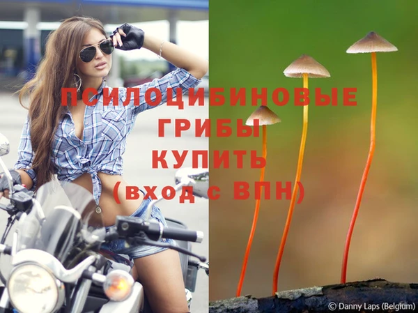 СК Снежинск