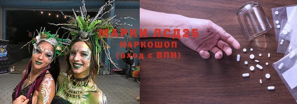 СК Снежинск